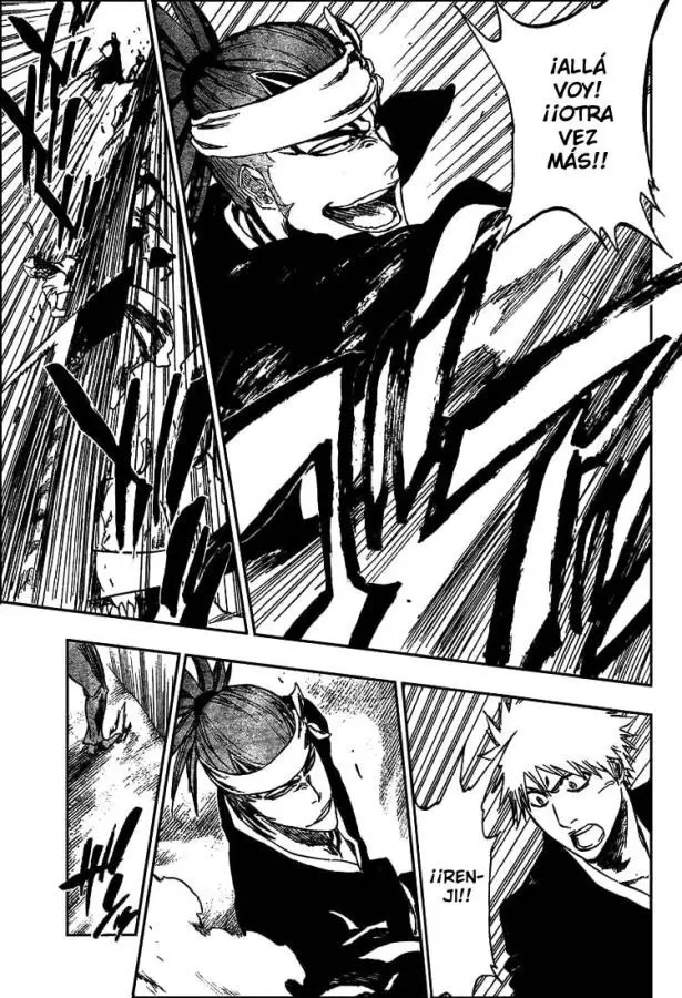 Bleach (2001) - Capítulo 317 - Página 13 - LectorTMOo
