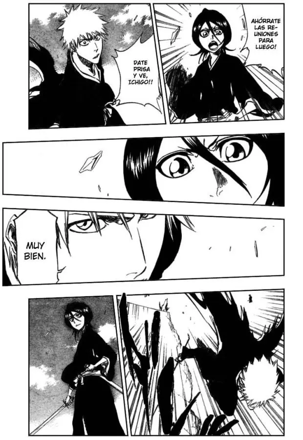 Bleach (2001) - Capítulo 317 - Página 17 - LectorTMOo