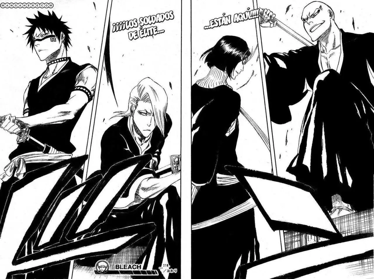 Bleach (2001) - Capítulo 318 - Página 17 - LectorTMOo