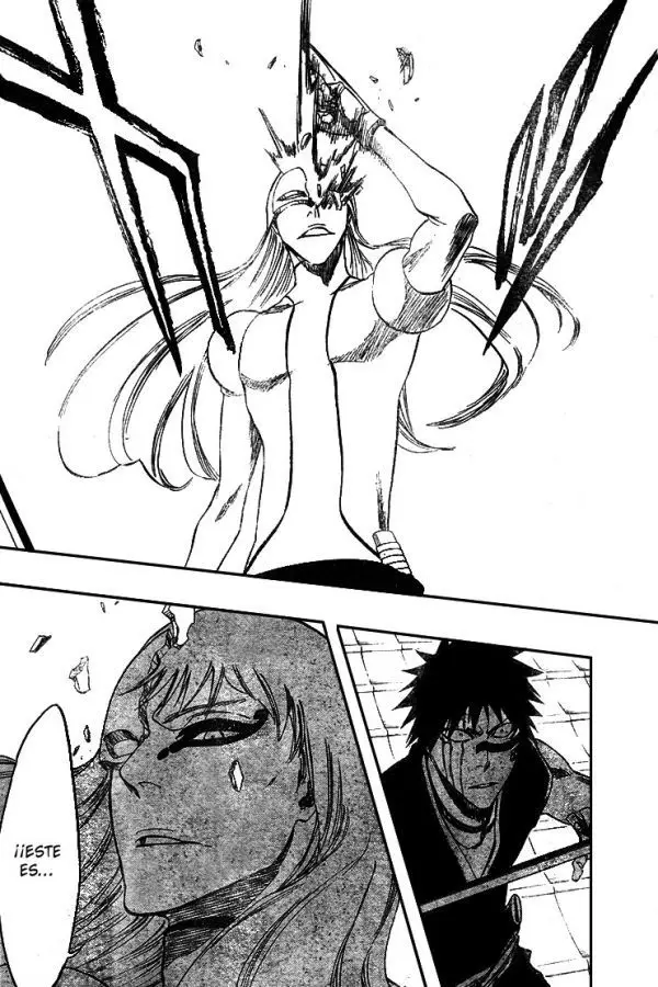 Bleach (2001) - Capítulo 322 - Página 14 - LectorTMOo