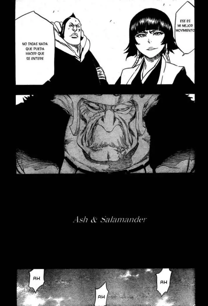 Bleach (2001) - Capítulo 333 - Página 13 - LectorTMOo
