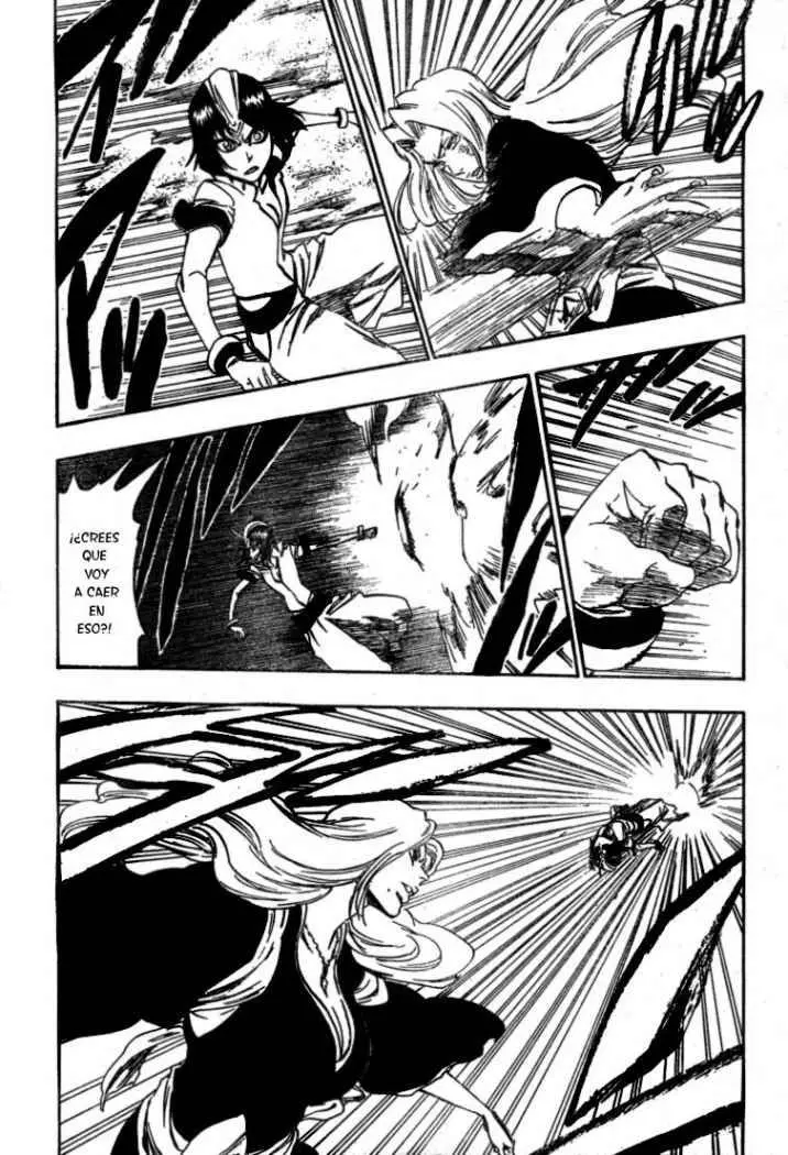 Bleach (2001) - Capítulo 333 - Página 17 - LectorTMOo