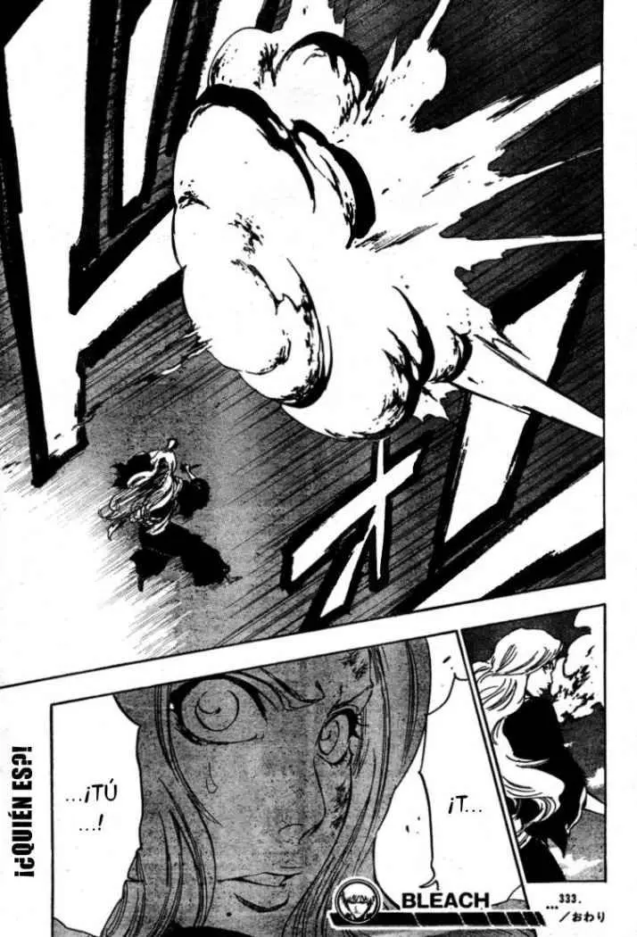 Bleach (2001) - Capítulo 333 - Página 19 - LectorTMOo