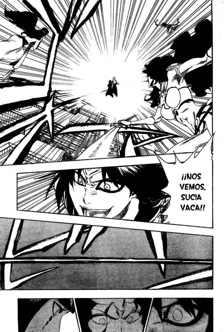 Bleach (2001) - Capítulo 334 - Página 17 - LectorTMOo