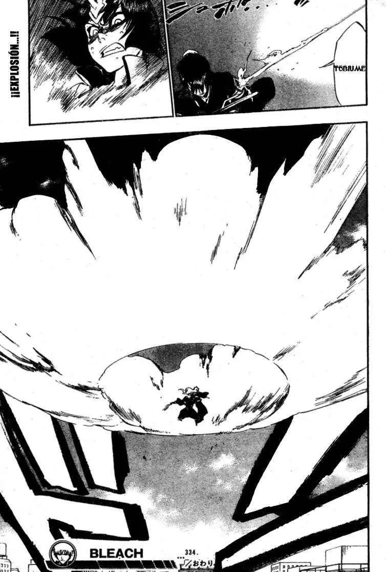 Bleach (2001) - Capítulo 334 - Página 19 - LectorTMOo