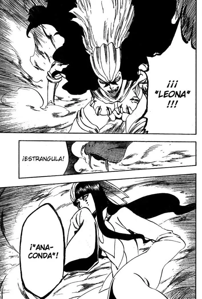 Bleach (2001) - Capítulo 335 - Página 17 - LectorTMOo