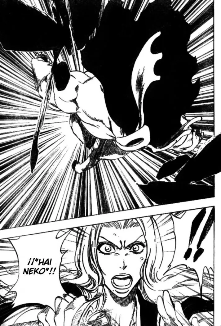 Bleach (2001) - Capítulo 336 - Página 5 - LectorTMOo