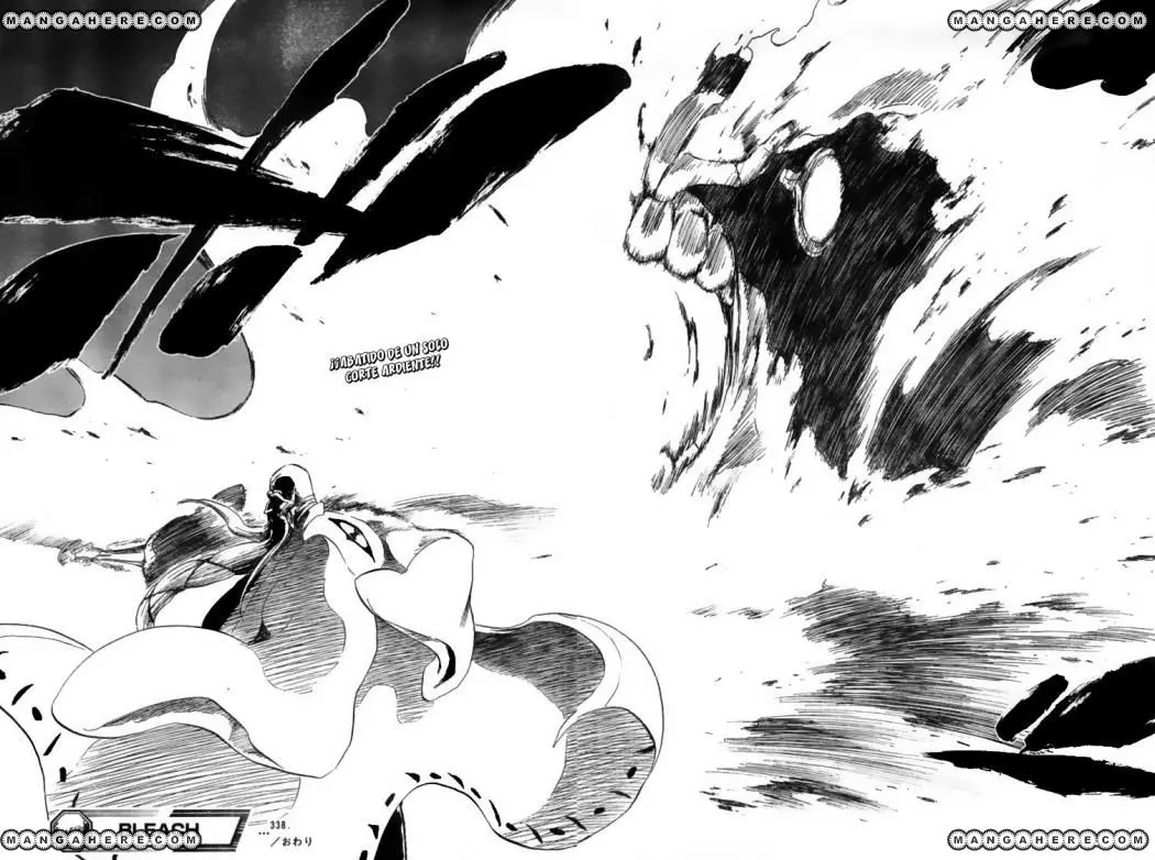 Bleach (2001) - Capítulo 338 - Página 17 - LectorTMOo