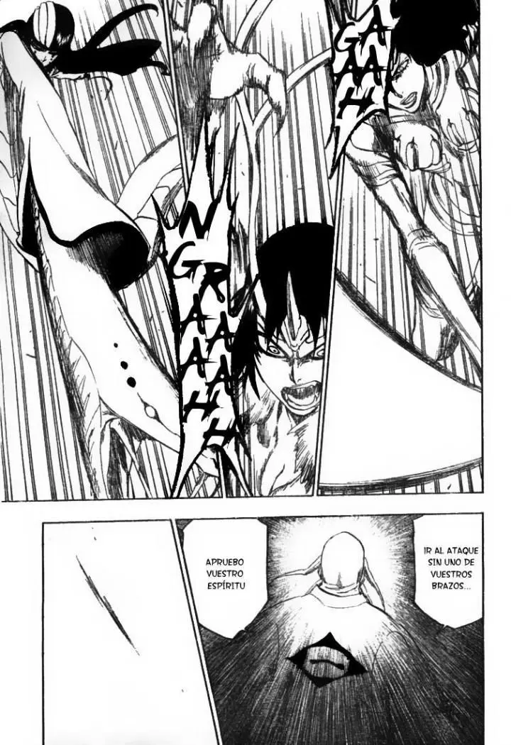 Bleach (2001) - Capítulo 339 - Página 4 - LectorTMOo