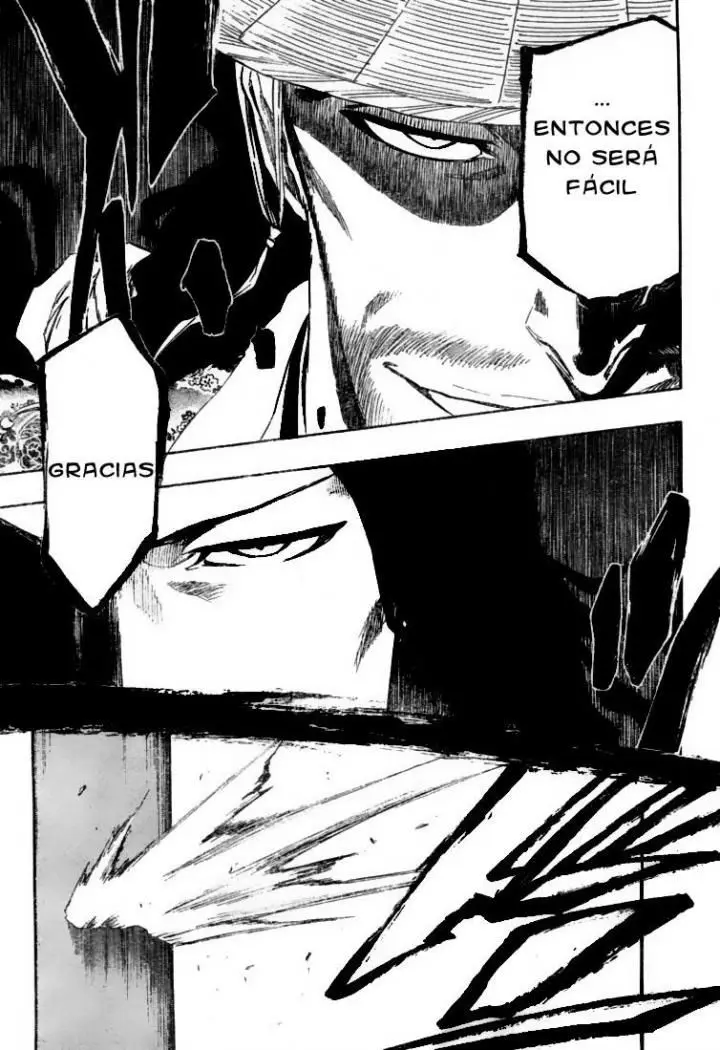 Bleach (2001) - Capítulo 339 - Página 17 - LectorTMOo