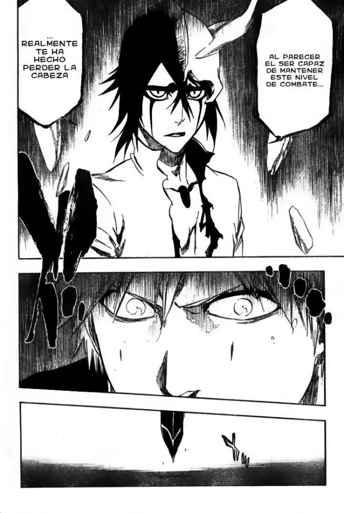 Bleach (2001) - Capítulo 341 - Página 14 - LectorTMOo