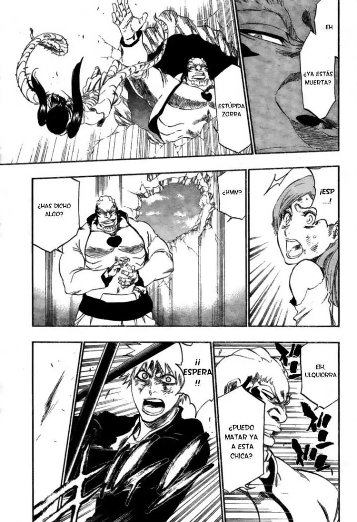 Bleach (2001) - Capítulo 343 - Página 13 - LectorTMOo