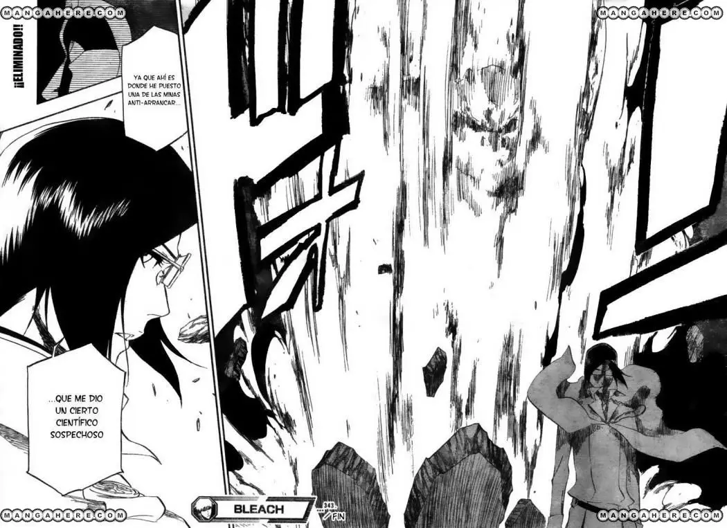 Bleach (2001) - Capítulo 343 - Página 17 - LectorTMOo