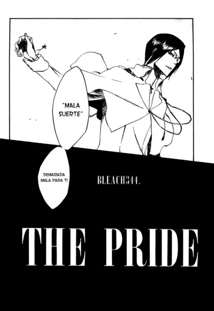 Bleach (2001) - Capítulo 344 - Página 5 - LectorTMOo