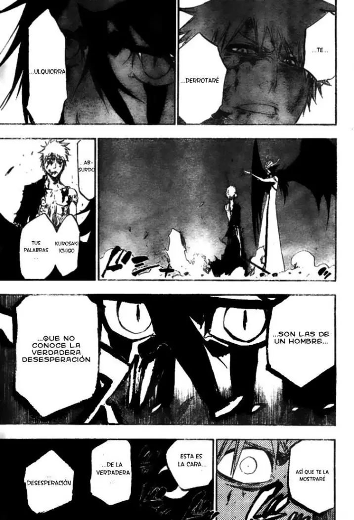 Bleach (2001) - Capítulo 347 - Página 17 - LectorTMOo