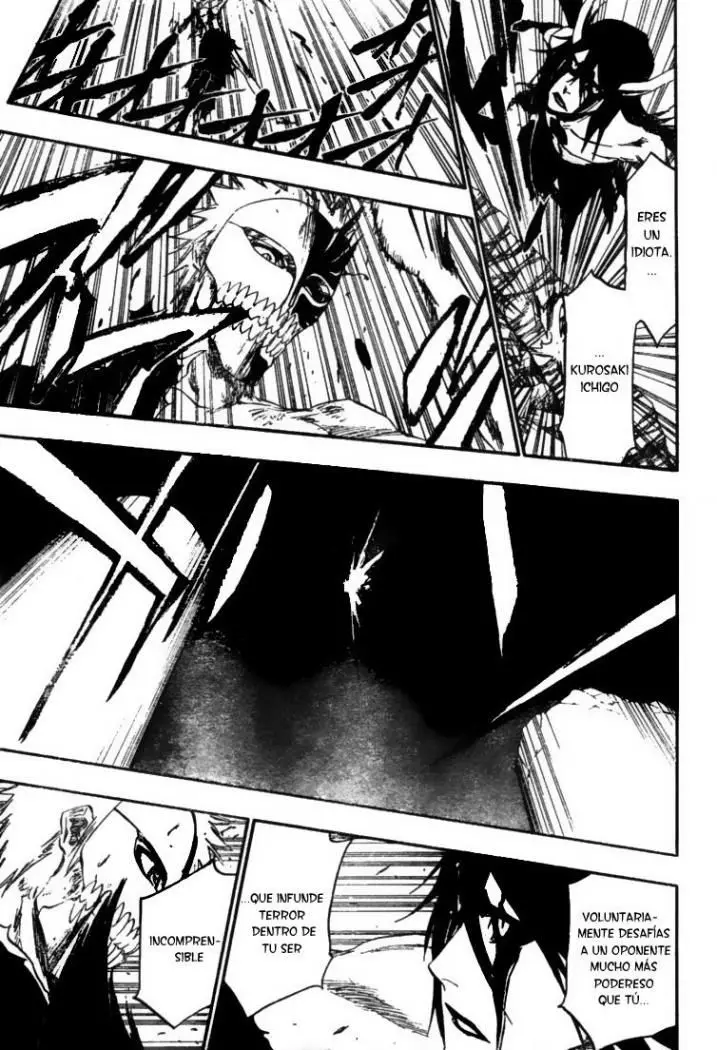 Bleach (2001) - Capítulo 348 - Página 14 - LectorTMOo