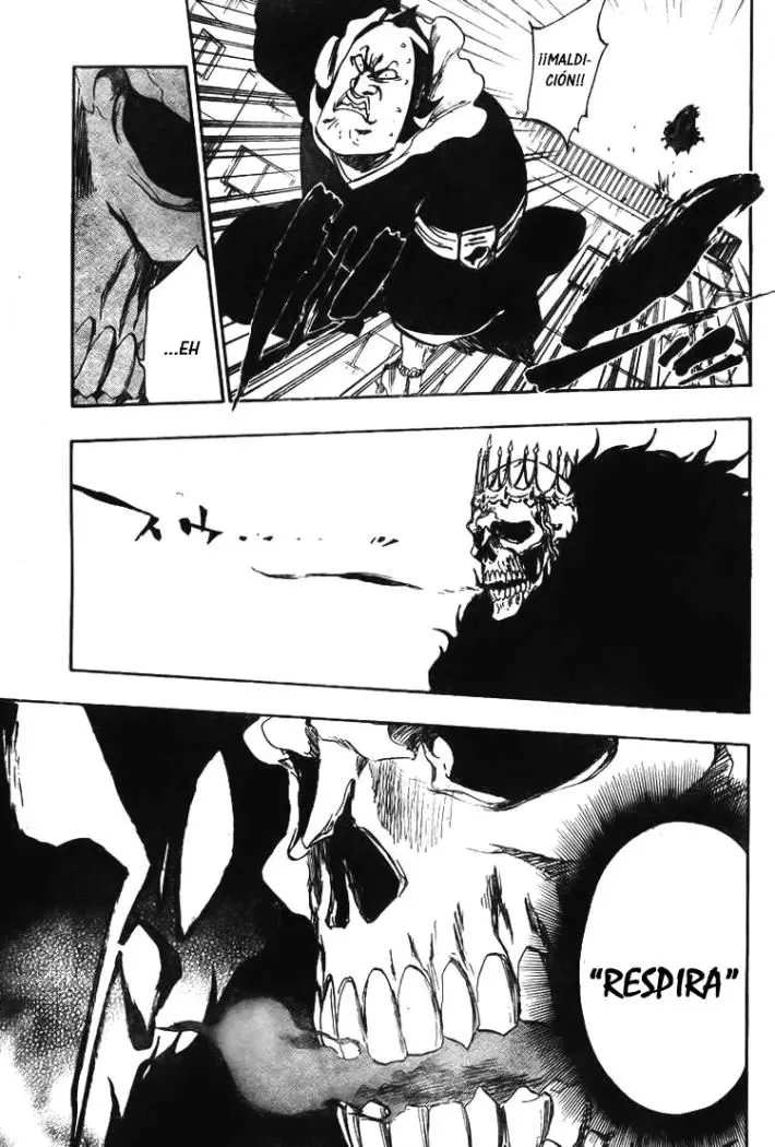 Bleach (2001) - Capítulo 359 - Página 14 - LectorTMOo