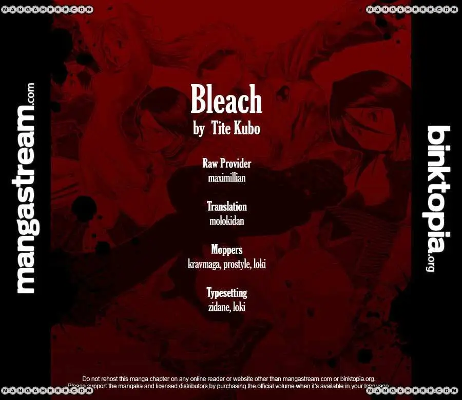 Bleach (2001) - Capítulo 428 - Página 29 - LectorTMOo
