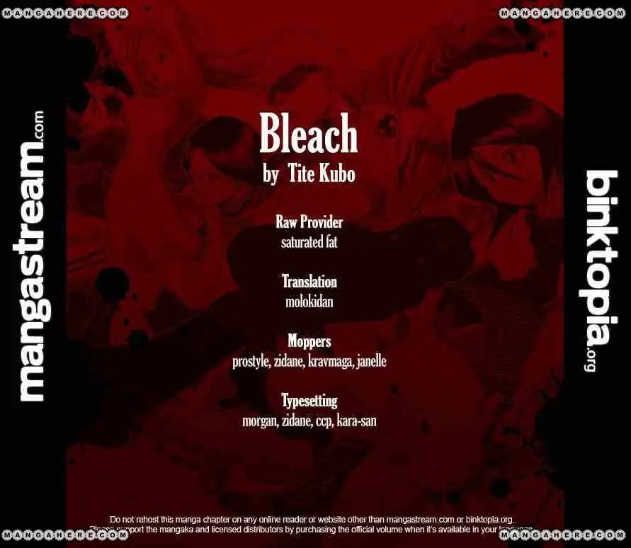 Bleach (2001) - Capítulo 441 - Página 23 - LectorTMOo
