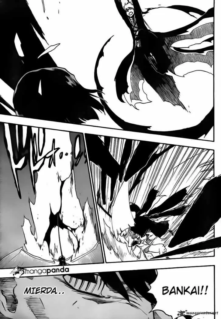 Bleach (2001) - Capítulo 493 - Página 14 - LectorTMOo