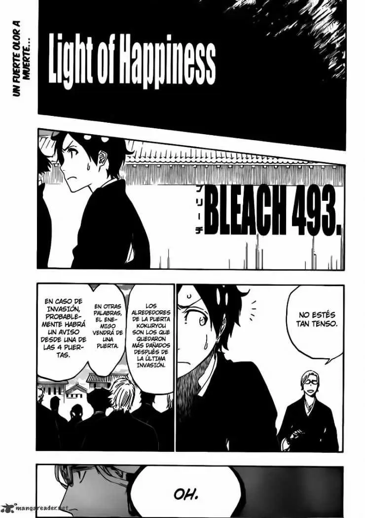 Bleach (2001) - Capítulo 493 - Página 16 - LectorTMOo