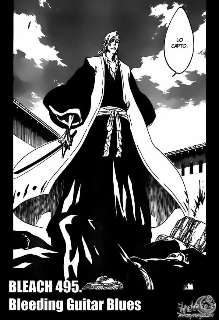 Bleach (2001) - Capítulo 495 - Página 4 - LectorTMOo