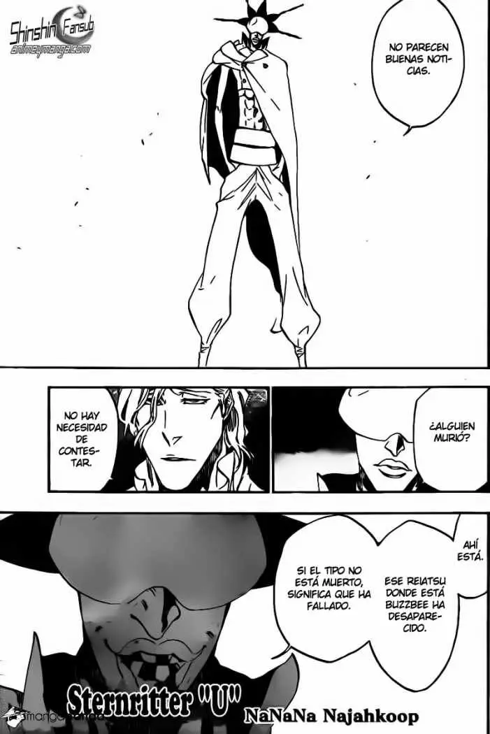 Bleach (2001) - Capítulo 495 - Página 5 - LectorTMOo