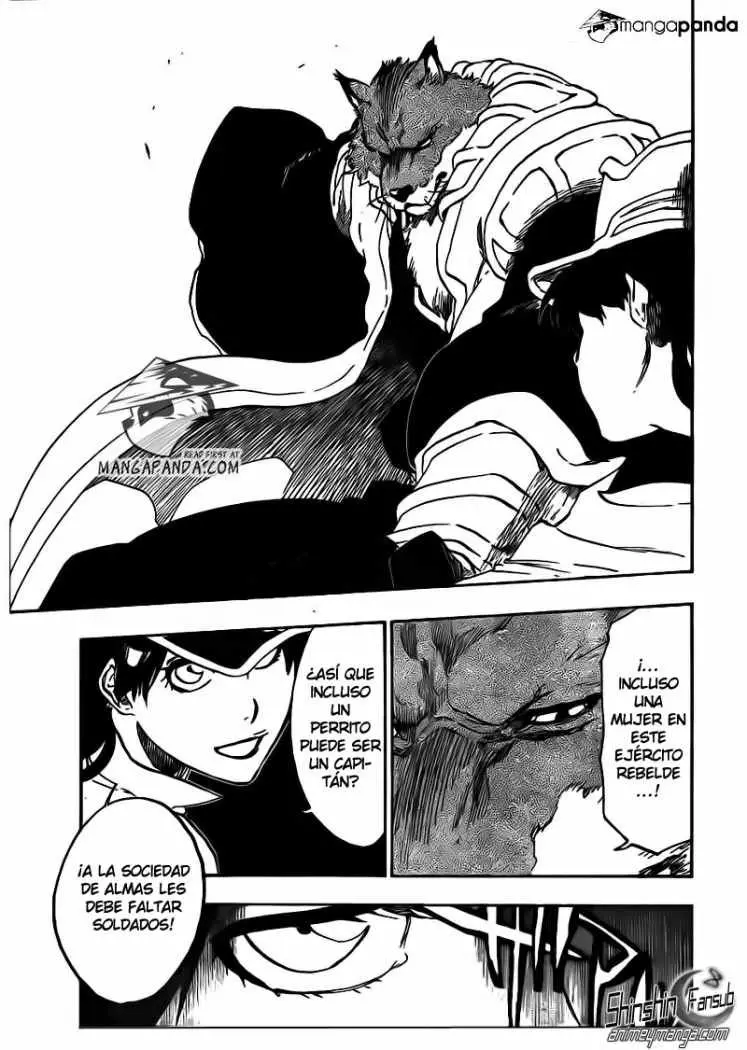 Bleach (2001) - Capítulo 495 - Página 13 - LectorTMOo