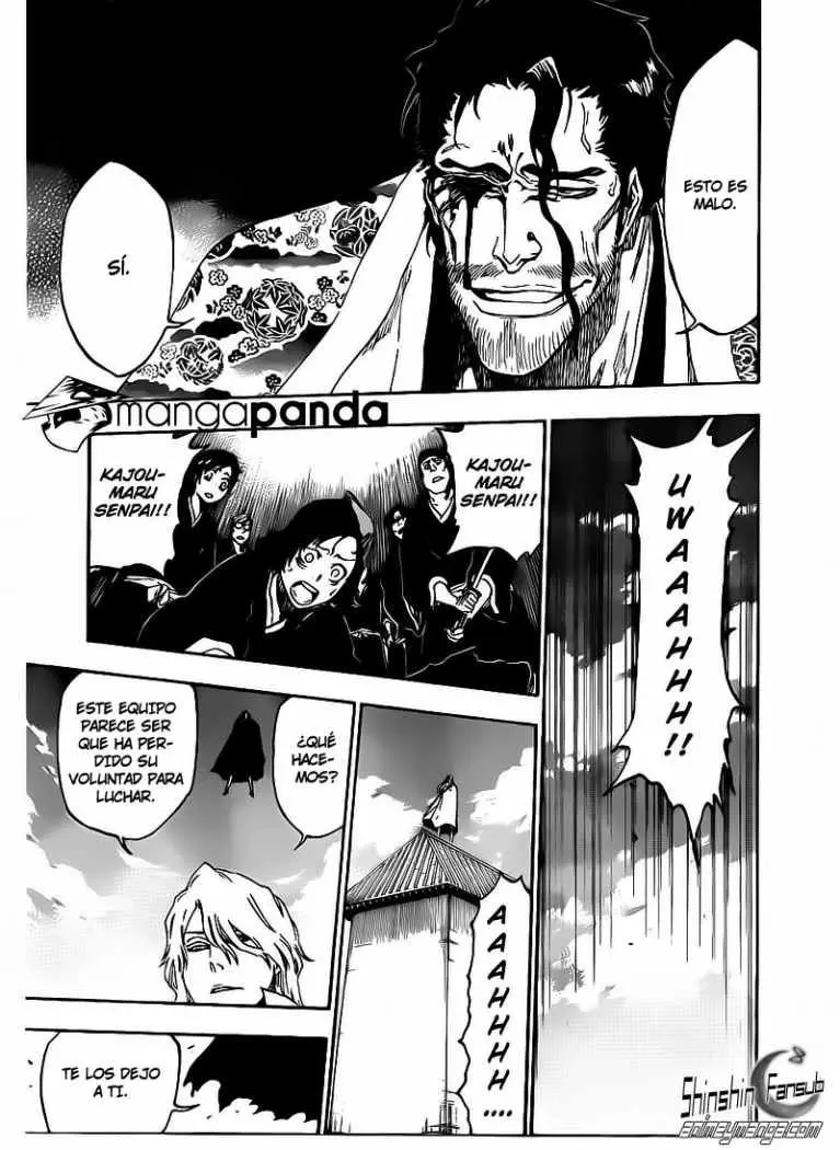 Bleach (2001) - Capítulo 497 - Página 14 - LectorTMOo
