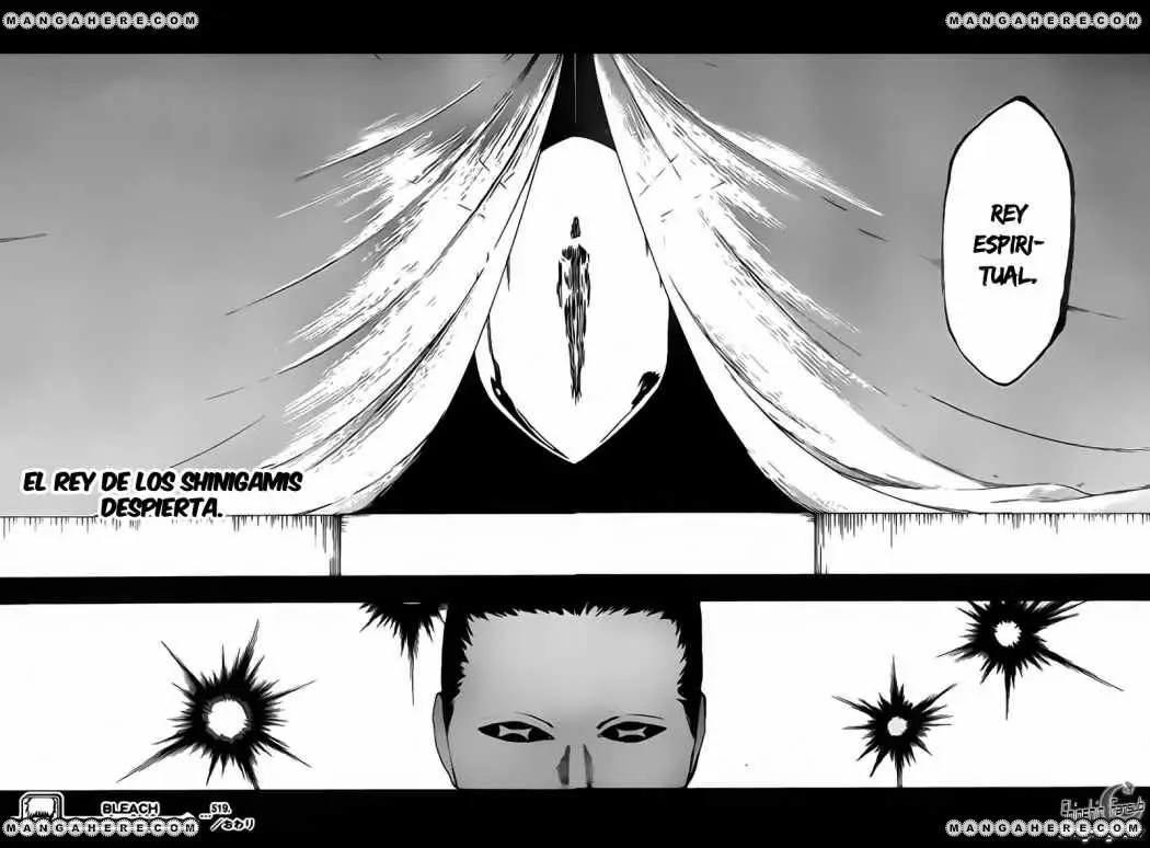 Bleach (2001) - Capítulo 519 - Página 17 - LectorTMOo