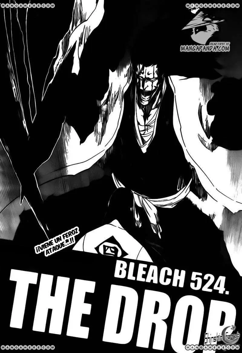 Bleach (2001) - Capítulo 524 - Página 5 - LectorTMOo