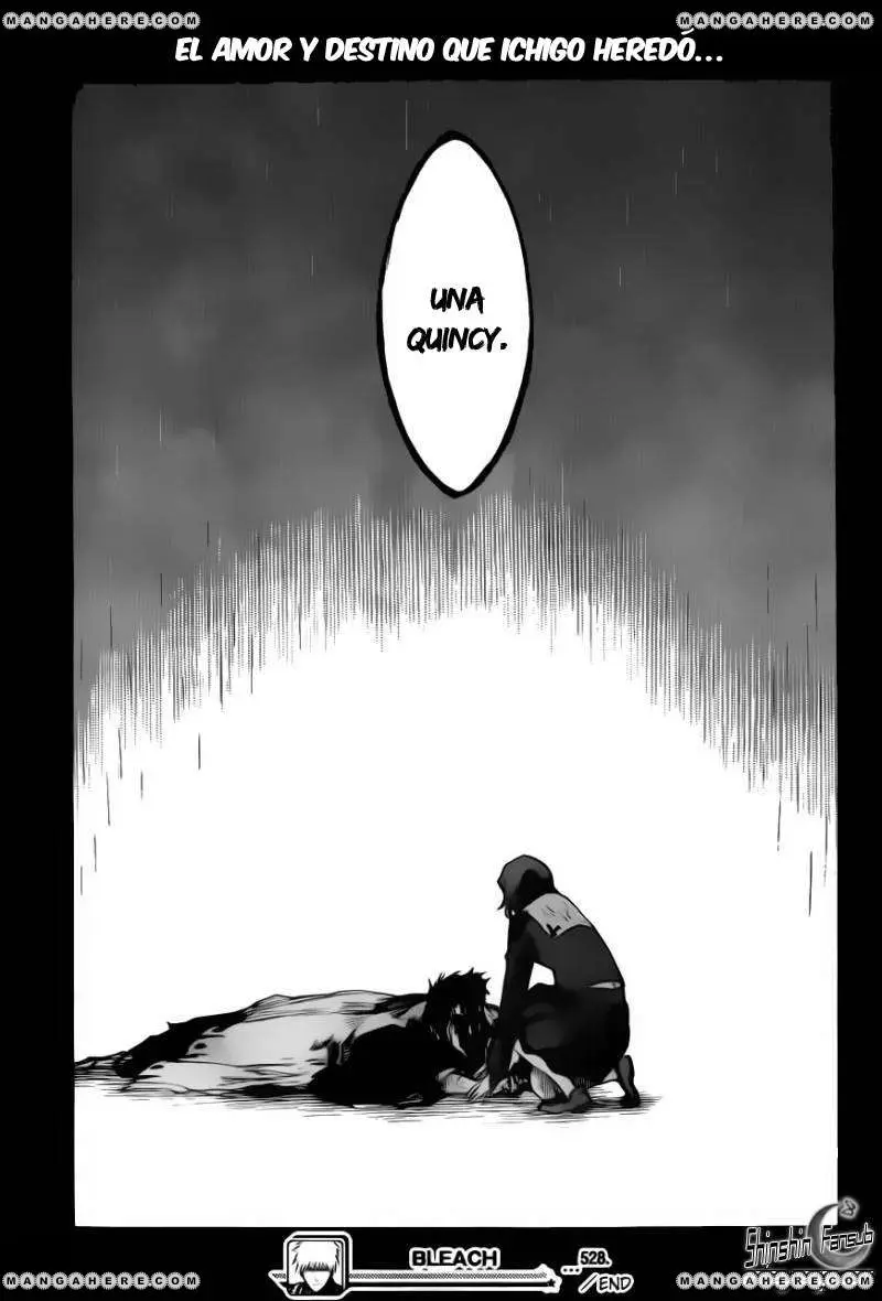 Bleach (2001) - Capítulo 528 - Página 18 - LectorTMOo