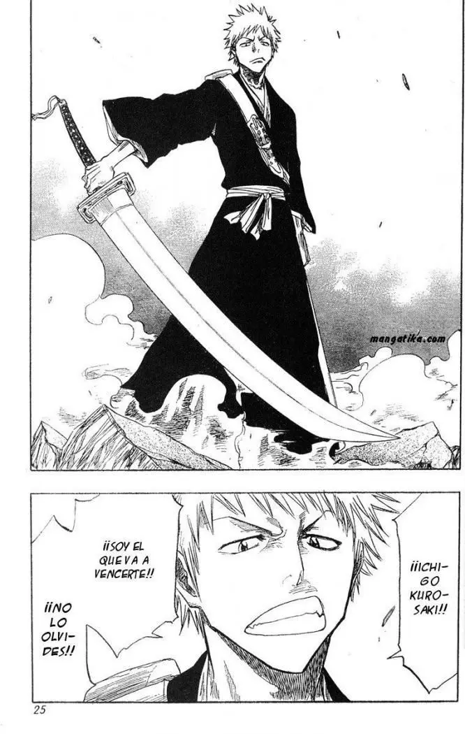 Bleach (2001) - Capítulo 53 - Página 21 - LectorTMOo