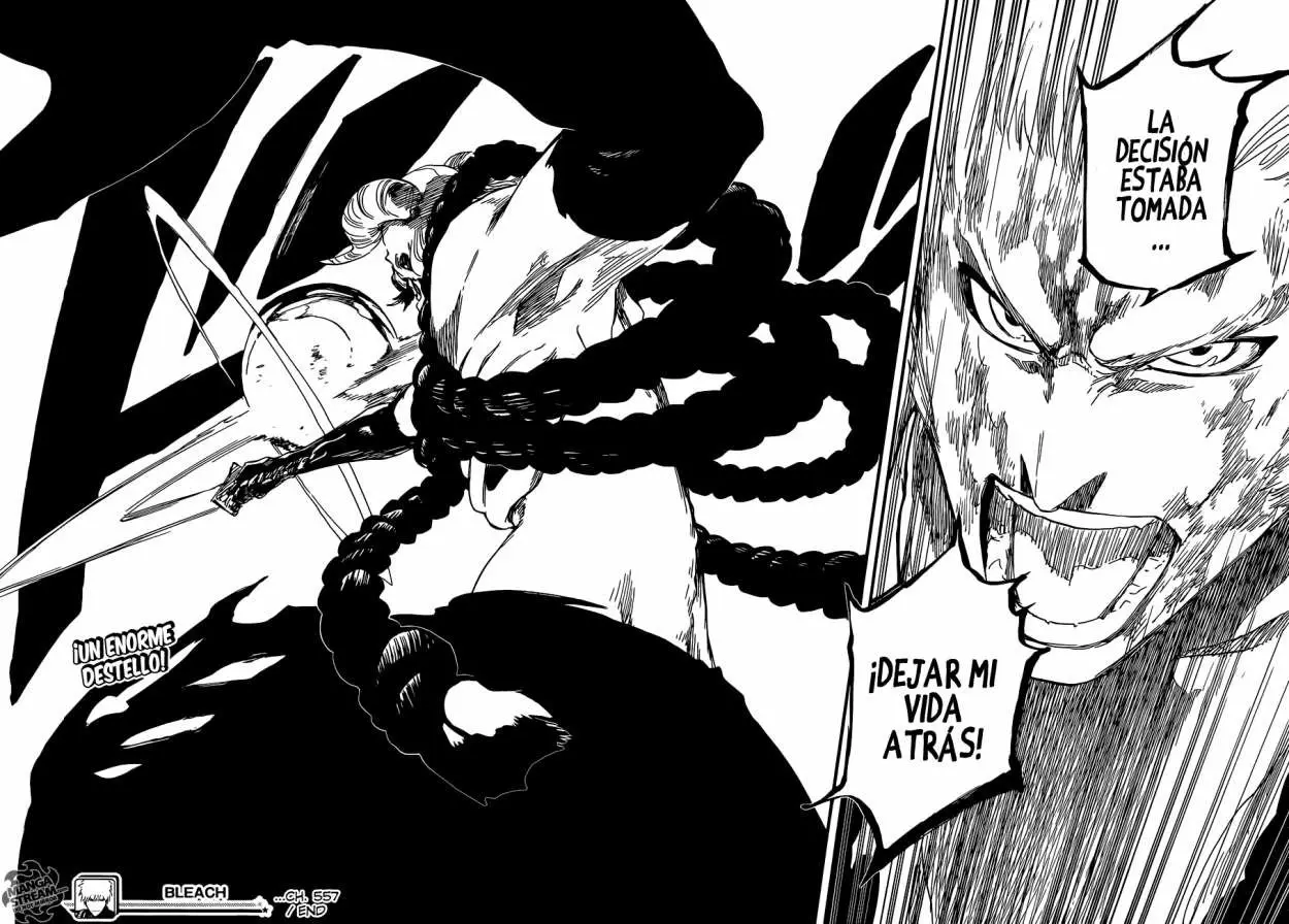 Bleach (2001) - Capítulo 557 - Página 15 - LectorTMOo