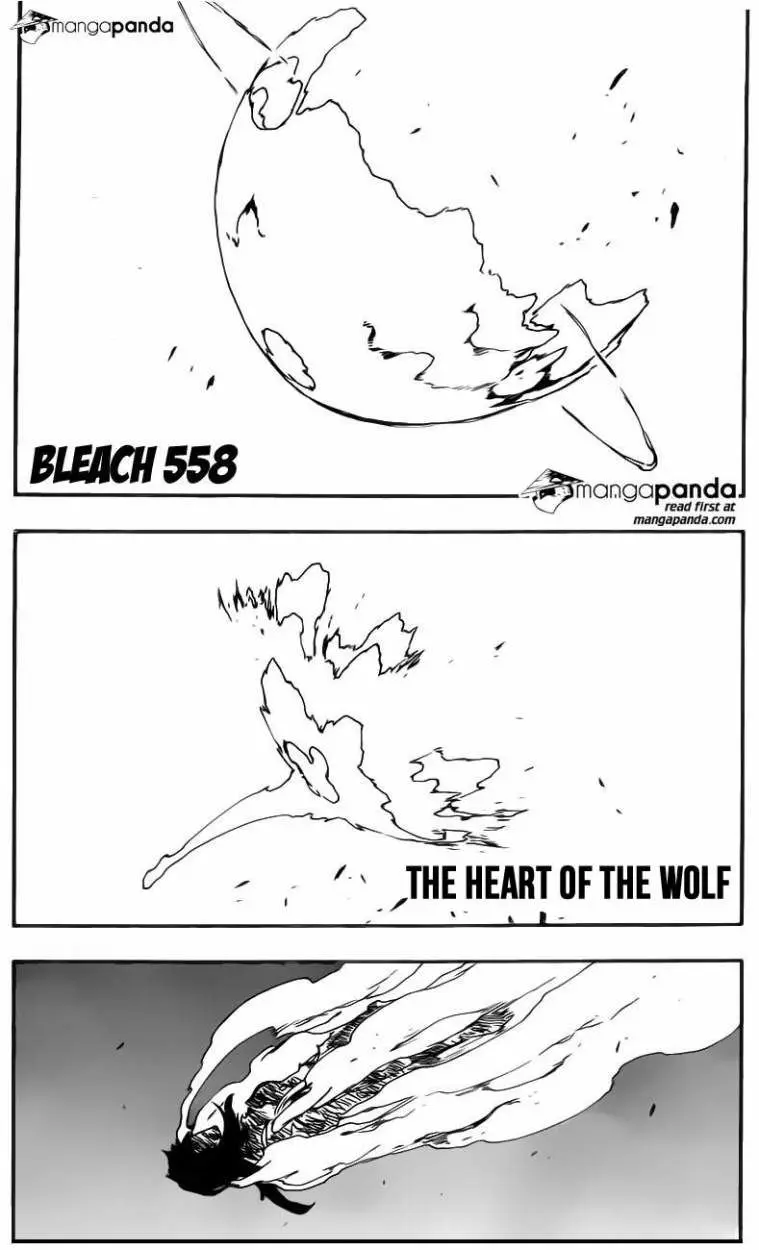 Bleach (2001) - Capítulo 558 - Página 5 - LectorTMOo