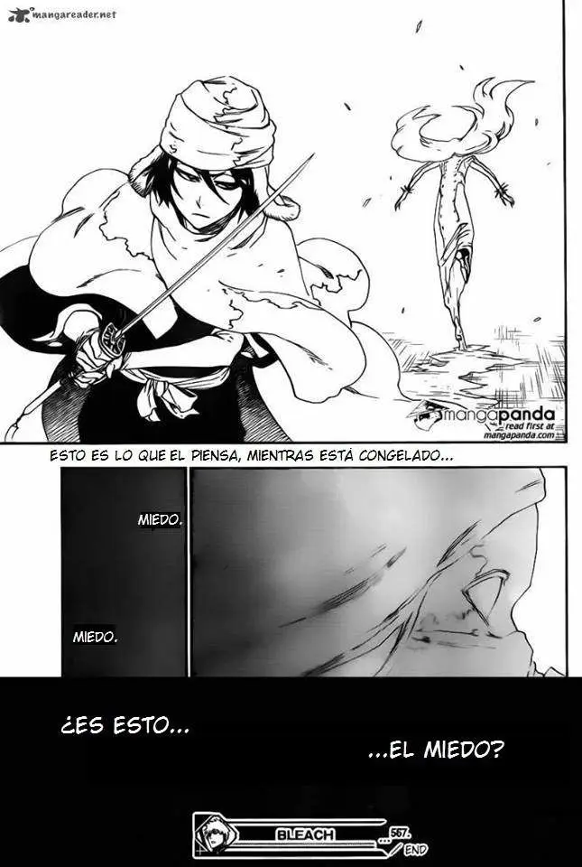 Bleach (2001) - Capítulo 567 - Página 17 - LectorTMOo