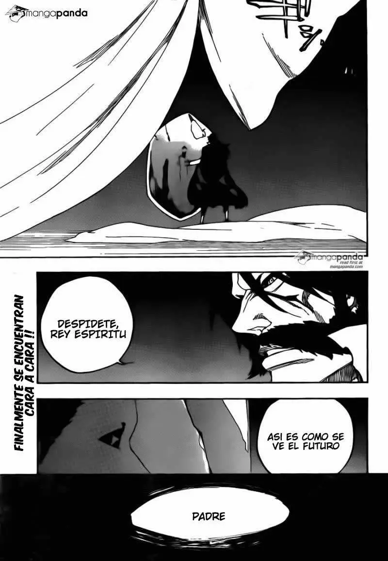 Bleach (2001) - Capítulo 611 - Página 17 - LectorTMOo