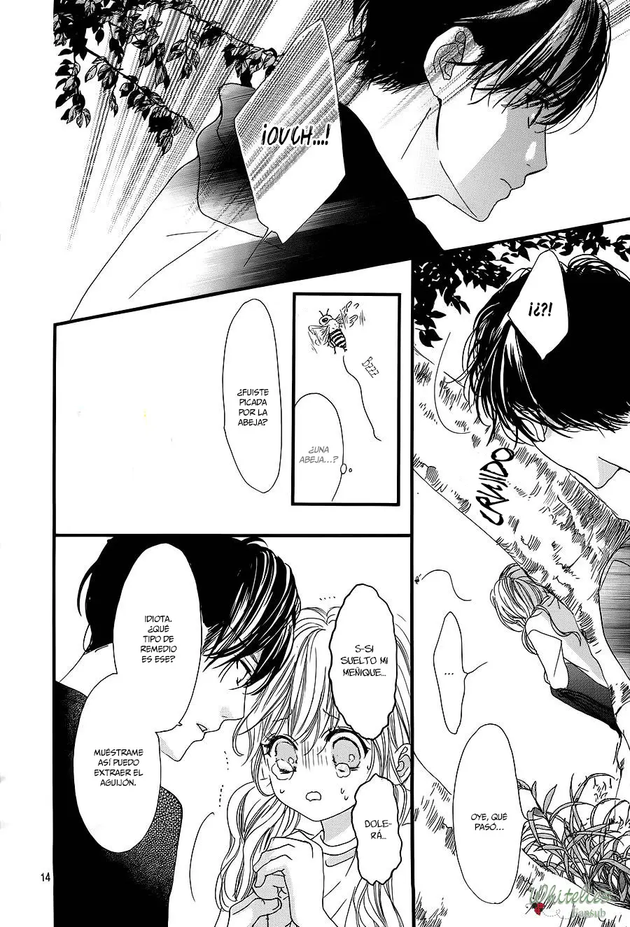 Boku ni Hana no Melancholy (2016) - Capítulo 11 - Página 17 - LectorTMOo