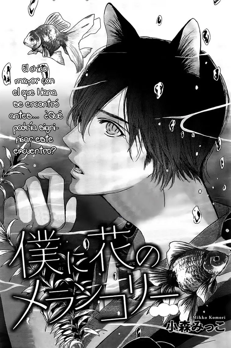 Boku ni Hana no Melancholy (2016) - Capítulo 23 - Página 7 - LectorTMOo