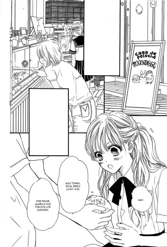 Boku ni Hana no Melancholy (2016) - Capítulo 57 - Página 7 - LectorTMOo
