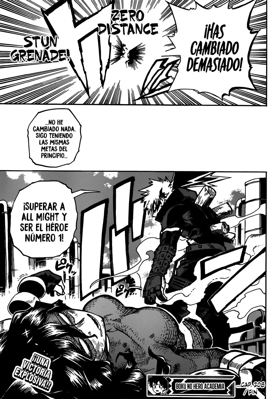 Boku no Hero Academia (2014) - Capítulo 208 - Página 14 - LectorTMOo