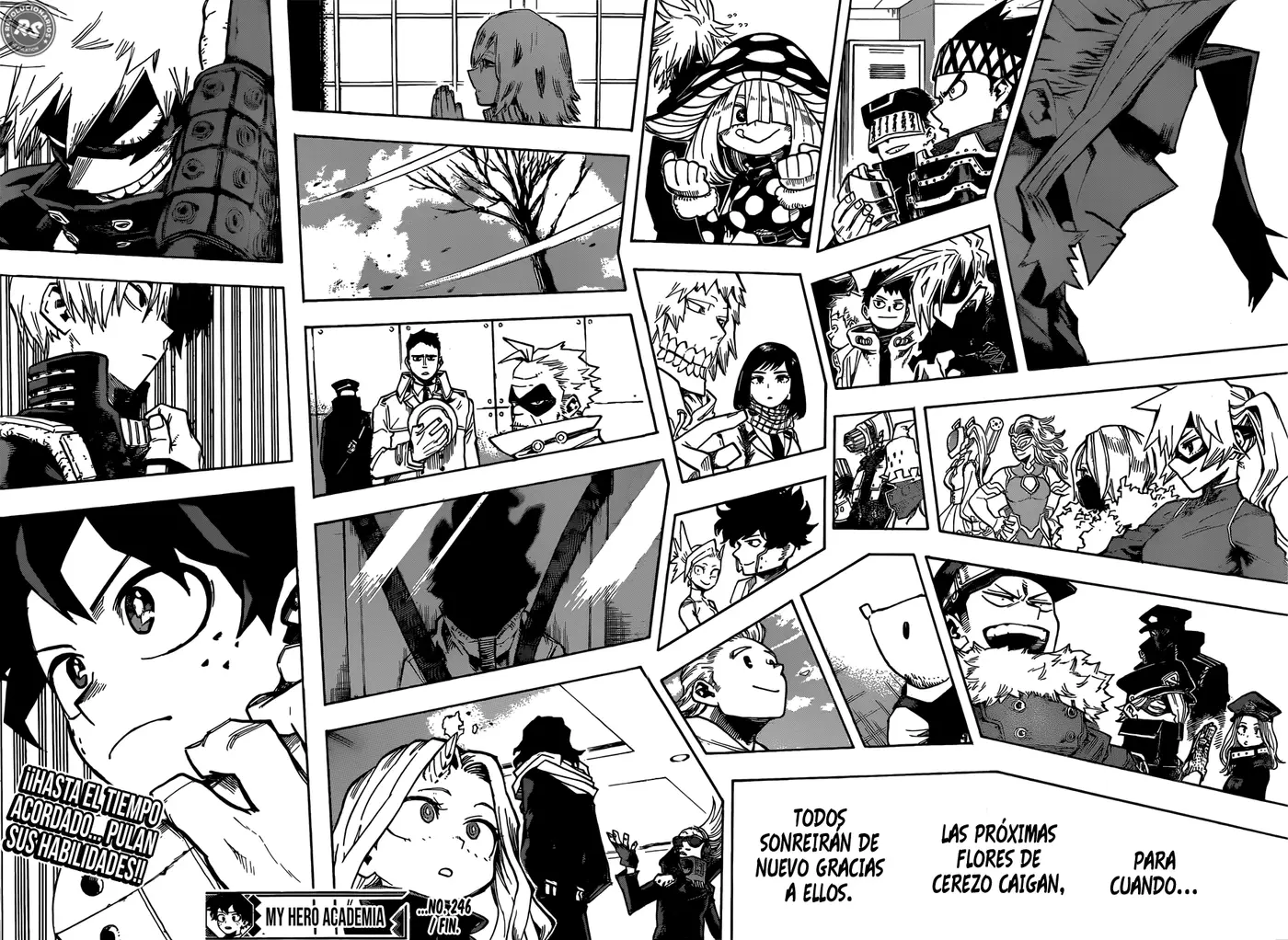 Boku no Hero Academia (2014) - Capítulo 246 - Página 15 - LectorTMOo
