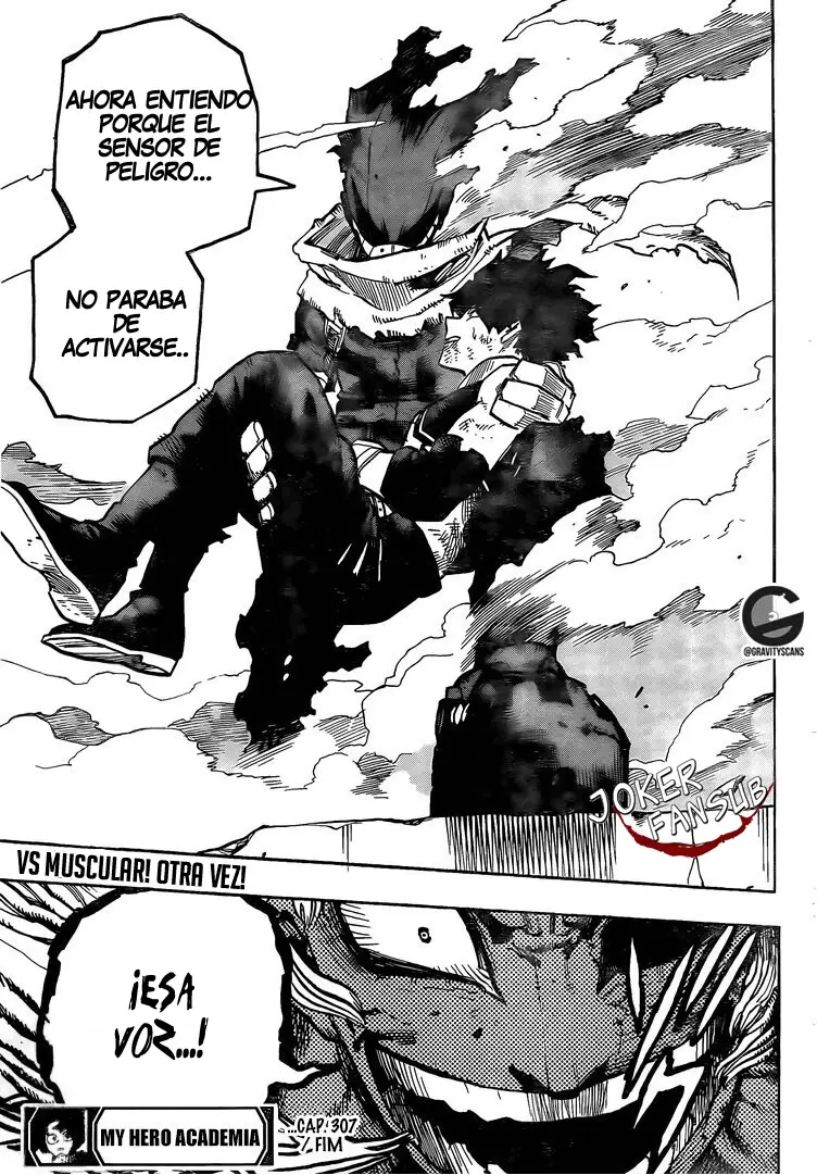 Boku no Hero Academia (2014) - Capítulo 307 - Página 17 - LectorTMOo