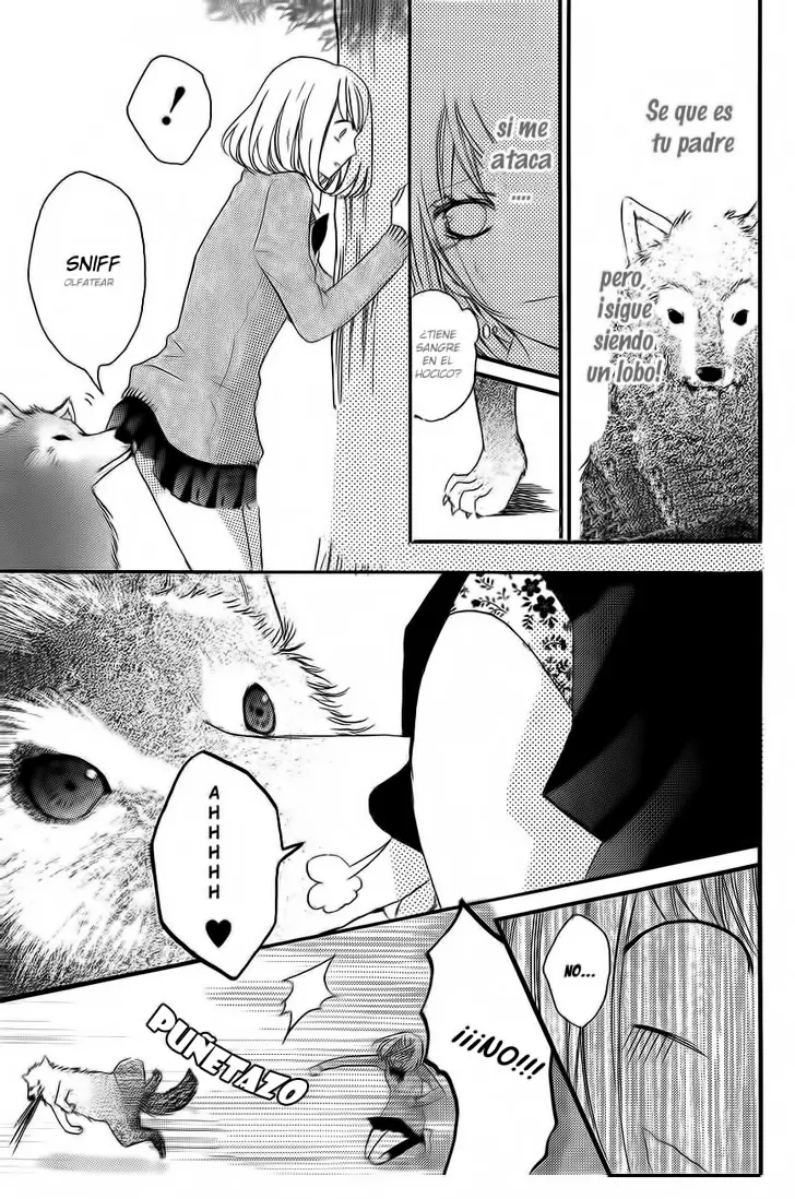 Boku wa Ookami (2010) - Capítulo 17.05 - Página 26 - LectorTMOo