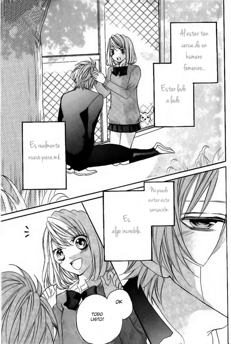 Boku wa Ookami (2010) - Capítulo 8.5 - Página 35 - LectorTMOo