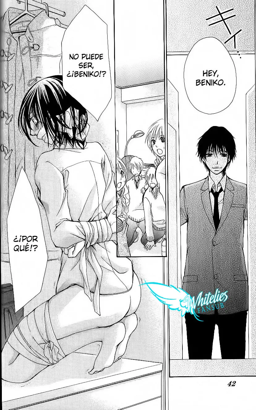Bokura no Koi wa Shi ni Itaru Yamai no You de (2010) - Capítulo 10 - Página 17 - LectorTMOo