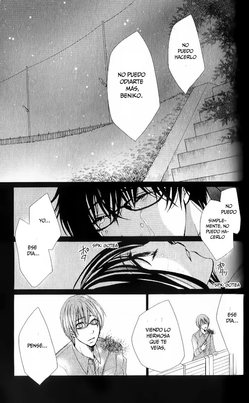 Bokura no Koi wa Shi ni Itaru Yamai no You de (2010) - Capítulo 20 - Página 13 - LectorTMOo