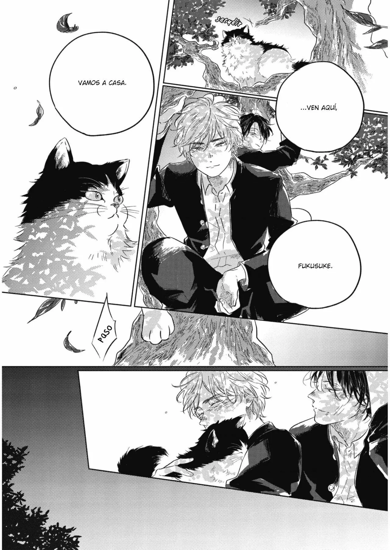 Bokura no Tsuzuki (2020) - Capítulo 5 - Página 19 - LectorTMOo