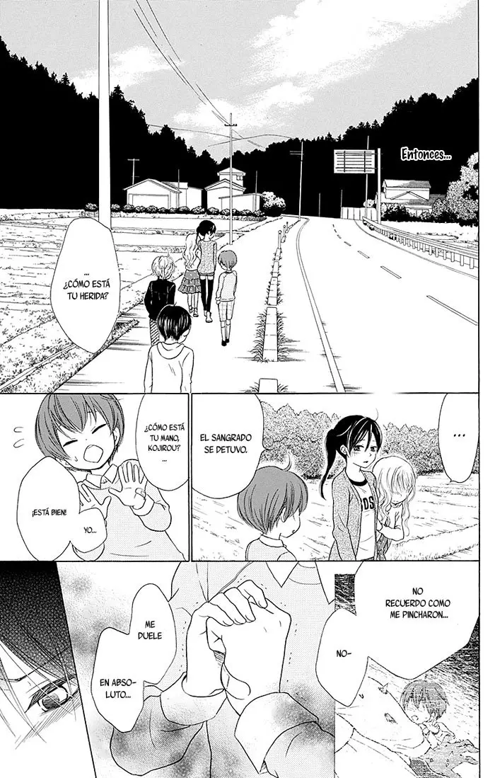Bokura wa Bara no Ko (2013) - Capítulo 15 - Página 5 - LectorTMOo