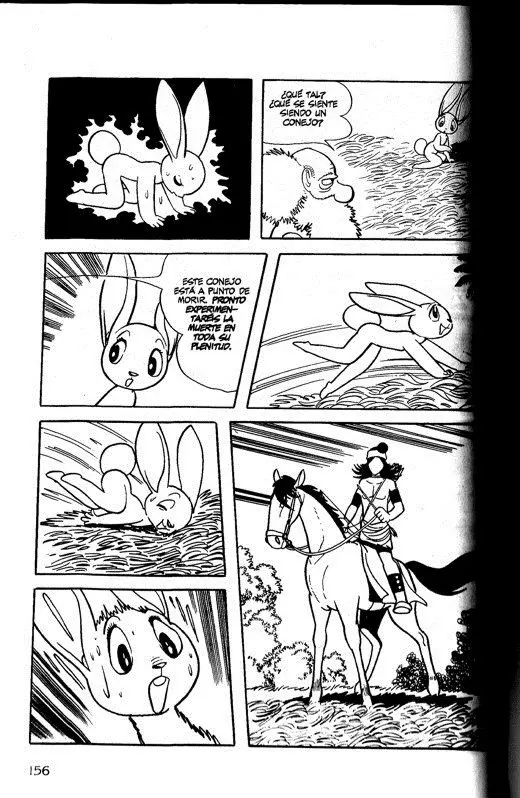 Buda (1972) - Capítulo 14 - Página 14 - LectorTMOo